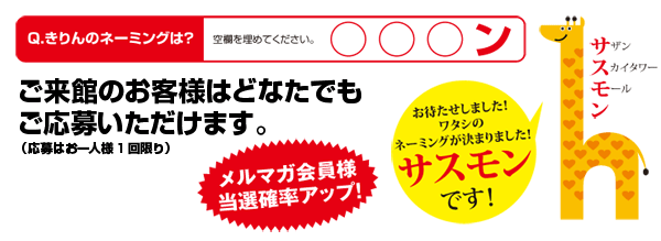 クイズに答えてプレゼントを当てよう！ 2012.5.1（火）～5.31（木）